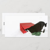 好奇心の強いクリスマス猫 シーズンカード (正面/裏面)