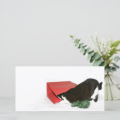 好奇心の強いクリスマス猫 シーズンカード (スタンド正面)