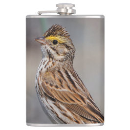 好奇心の強いサバンナのスズメ フラスク