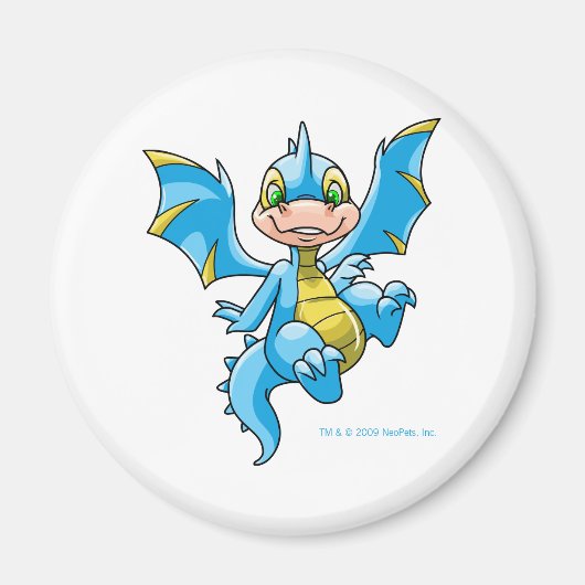 好奇心の強いブルースコーチオ マグネット (正面)