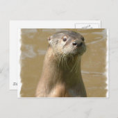 好奇心の強い写真はがき ポストカード (正面/裏面)