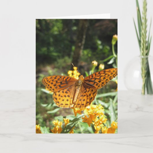 好奇心の翼(3)グリーティングカード カード (正面)