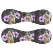 好奇心の開花：紫のデイジーの間のメルカト ソフトボール (パネル)