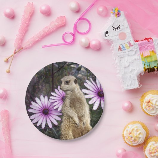 好奇心の開花：紫のデイジーの間のメルカト ペーパープレート (パーティー)