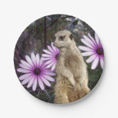 好奇心の開花：紫のデイジーの間のメルカト ペーパープレート (正面)