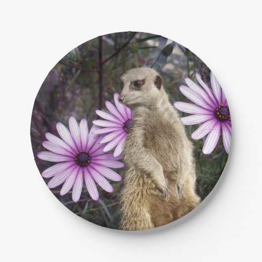 好奇心の開花：紫のデイジーの間のメルカト ペーパープレート (正面)