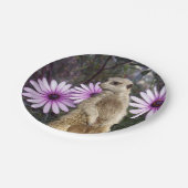 好奇心の開花：紫のデイジーの間のメルカト ペーパープレート (アングル)