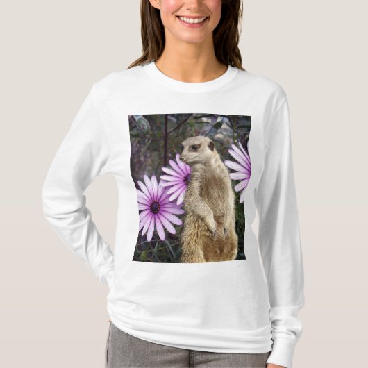 好奇心の開花：紫のデイジーの間のメルカト Tシャツ (正面)