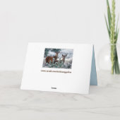 好奇心の鹿のグリーティングカード カード (裏面)