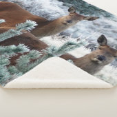 好奇心の鹿の毛布 シェルパブランケット (3/4)