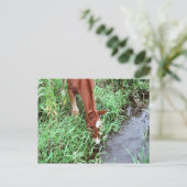 好奇心をそそるはがき ポストカード (スタンド正面)