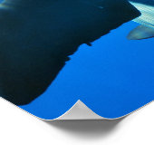 好奇心をそそるイルカのポスター ポスター (角)