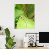 好奇心をそそるトカゲ ポスター (ホームオフィス)