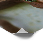 好奇心をそそるリザードウォールアート ポスター (角)