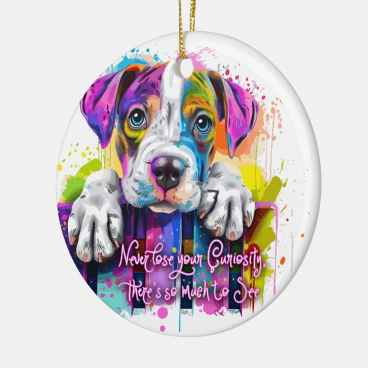 好奇心を失うことはないし、見るものも多い セラミックオーナメント (左)