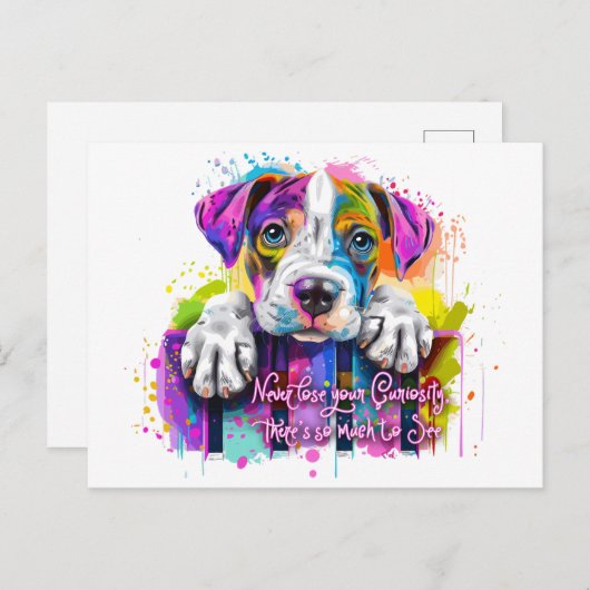 好奇心を失うことはないし、見るものも多い ポストカード (正面/裏面)