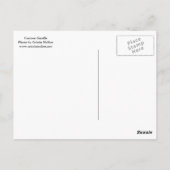 好奇心キリンポートレート ポストカード (裏面)