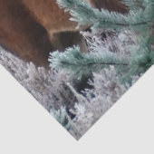 好奇心シカティッシュペーパー 薄葉紙 (詳細)