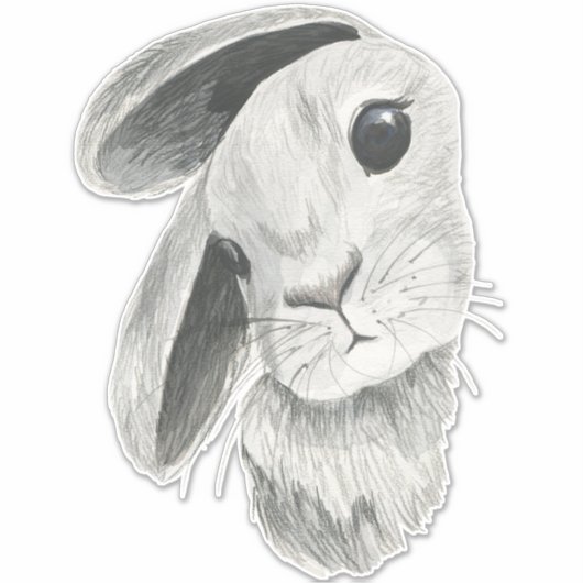 好奇心バニーラビットベビールームデコール シール (正面)