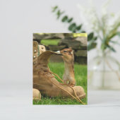 好奇心ベビーチムンク ポストカード (スタンド正面)