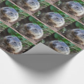 好奇心ベビーマーモートラッピング紙 ラッピングペーパー (角)