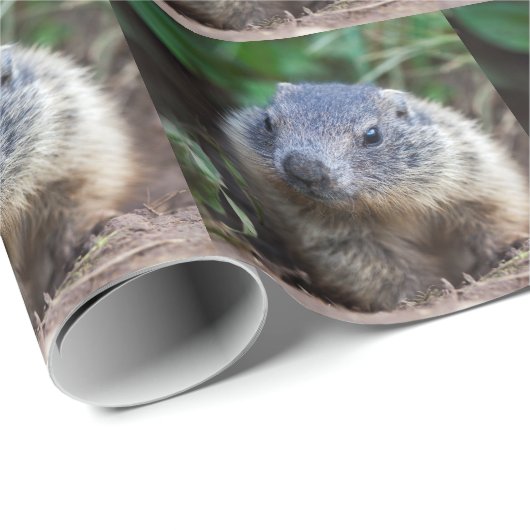 好奇心ベビーマーモートラッピング紙 ラッピングペーパー (ロールコーナー)