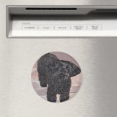 好奇心ヨークシャーテリアポー マグネット (インサイチュ (食洗機))