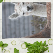 好奇心旺盛なアルパカおもしろいス動物 キッチンタオル (折り畳み)