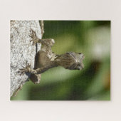 好奇心旺盛なカトカゲ ジグソーパズル (横)