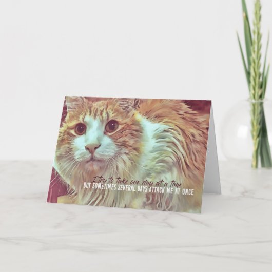 好奇心旺盛なグリーティングカード サンキューカード (正面)