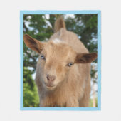 好奇心旺盛なナイジェリア人矮性酪農家ヤギ子 フリースブランケット (正面)