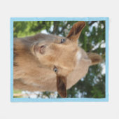 好奇心旺盛なナイジェリア人矮性酪農家ヤギ子 フリースブランケット (正面(横))