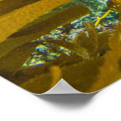 好奇心旺盛な港のシールコンブ林 | Santa Barbara ポスター (角)