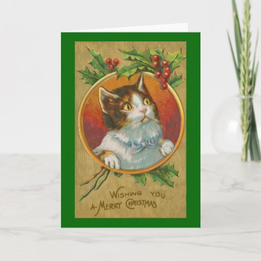 好奇心旺盛な猫のクリスマスカード シーズンカード (正面)