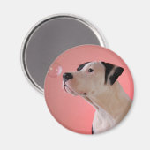 好奇心旺盛 マグネット (正面/裏面)