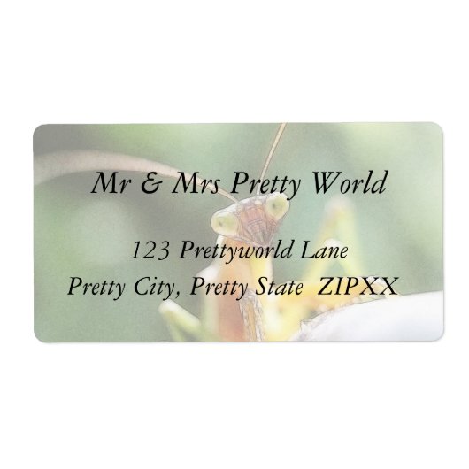 好奇心祈のマティス ラベル (正面)