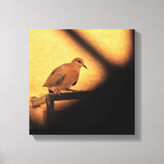 好奇心 キャンバスプリント (正面)