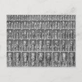 好奇心 ポストカード (正面)