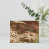 好奇心…... ポストカード (スタンド正面)