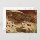 好奇心…... ポストカード (正面/裏面)