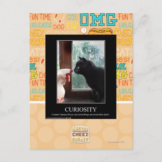 好奇心 ポストカード (正面)