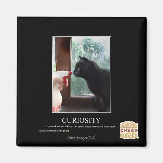 好奇心 マグネット (正面)