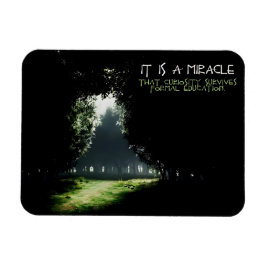 「好奇心」感動的引用文柔軟性 マグネット