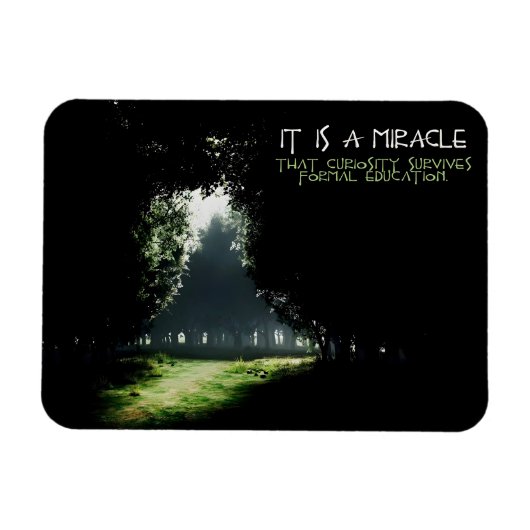 「好奇心」感動的引用文柔軟性 マグネット (横)