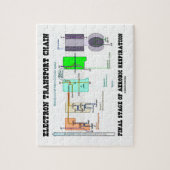 好気性の電子輸送チェーン最終ステージ ジグソーパズル (縦)