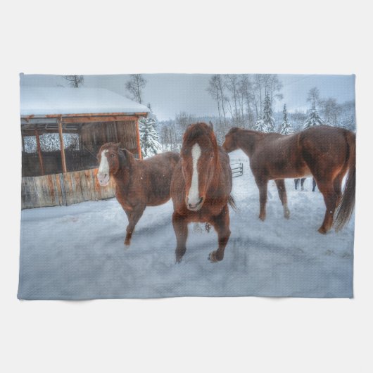 好色おもしろいなスタリオンと消極的なマーレウマ キッチンタオル (横)