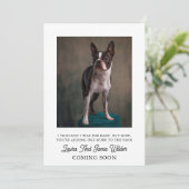 妊娠おもしろい発表 案内状 (スタンド正面)