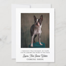 妊娠おもしろい発表 案内状