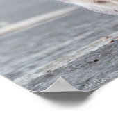 「妊娠してるって！」 女性リスのポスター ポスター (角)