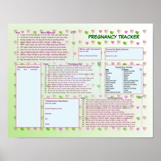 妊娠トラッカーのポスター ポスター (正面)